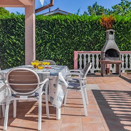 Dom wakacyjny Holiday Home Vinez Vinez *